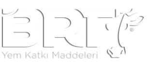 BRT Yem Katkı