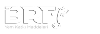 BRT Yem Katkı